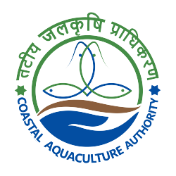 CAA